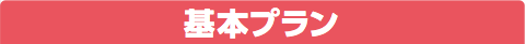 基本プラン