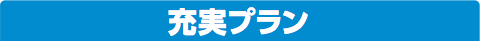 充実プラン
