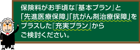保険料がお手ごろな『基本プラン』と「先進医療保障」「抗がん剤治療保障」をプラスした「充実プラン」からご検討ください。