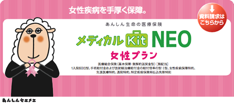 ¤ݾ㡣󤷤̿ΰݸ ǥKit NEO ץ