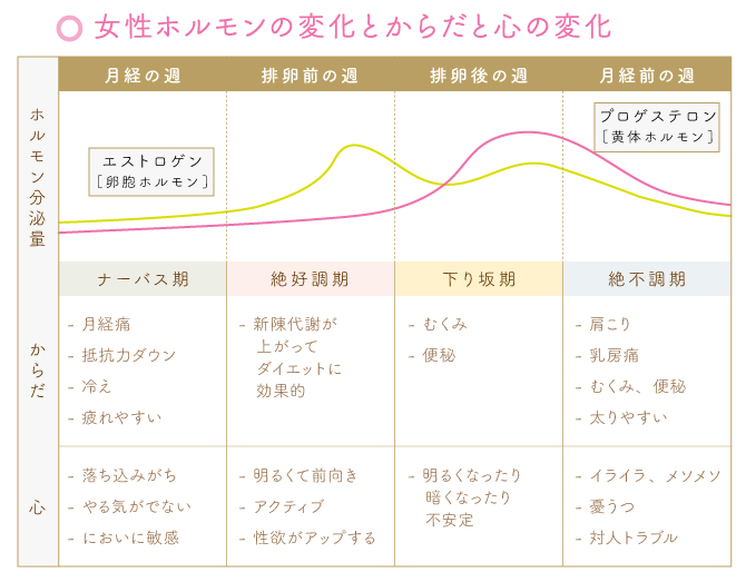 Vol 01 女性のからだと女性ホルモン お知らせ ベルメゾン ほけんはっけん Vol 01 女性のからだと女性ホルモン お知らせ ベルメゾン ほけんはっけん